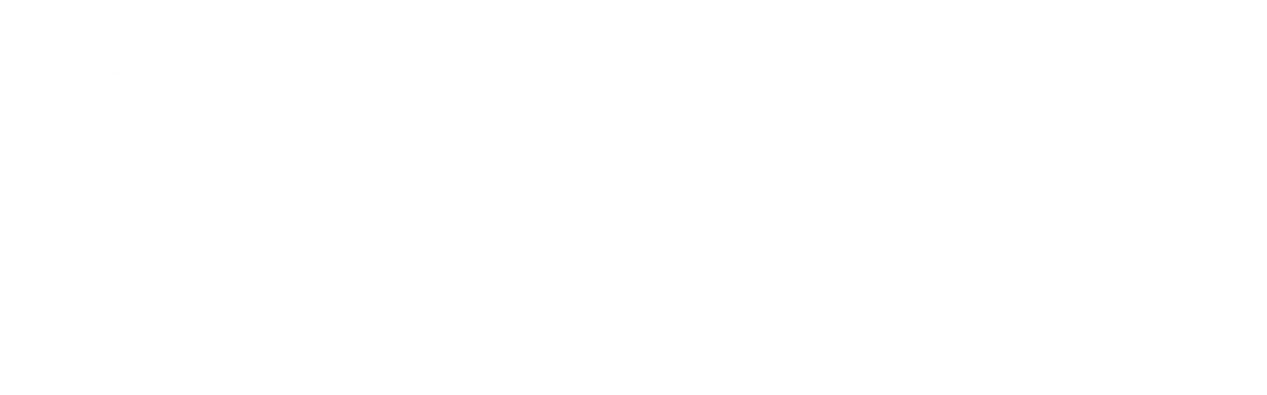 Vicedomini Softworks